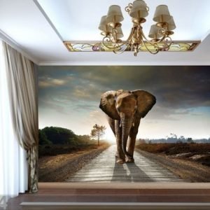 Ag Design Fleece-Kuvatapetti Big Elephant 360x270 Cm