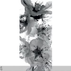 Ag Design Fleece Kuvatapetti Black And White Flower 90x202 Cm