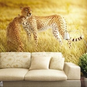 Ag Design Fleece-Kuvatapetti Cheetahs 330x255 Cm