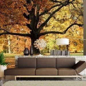 Ag Design Fleece Kuvatapetti Oak Tree 360x170 Cm