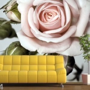 Ag Design Fleece-Kuvatapetti Roses 360x270 Cm