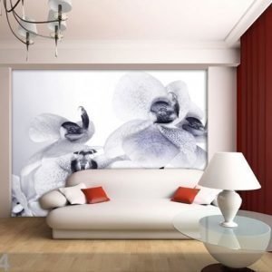 Ag Design Kuvatapetti Orchids 360x254 Cm