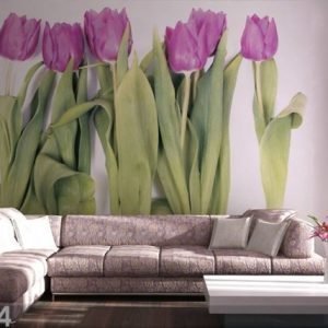 Ag Design Kuvatapetti Purple Tulips 360x254 Cm