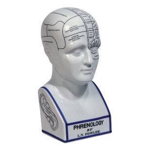 Authentic Models Phrenology Head Pysti