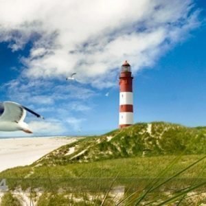 Bilder-Welten Kuvatapetti Lighthouse In Dunes 300x280 Cm