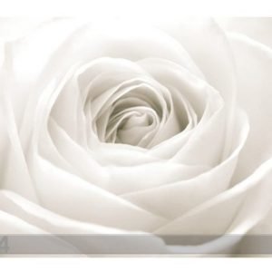 Bilder-Welten Kuvatapetti The White Rose 400x280 Cm