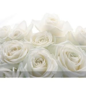 Bilder-Welten Kuvatapetti Wedding Roses 400x280cm