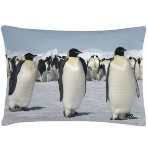 Bloomingville Penguins Tyyny 70x35 Cm