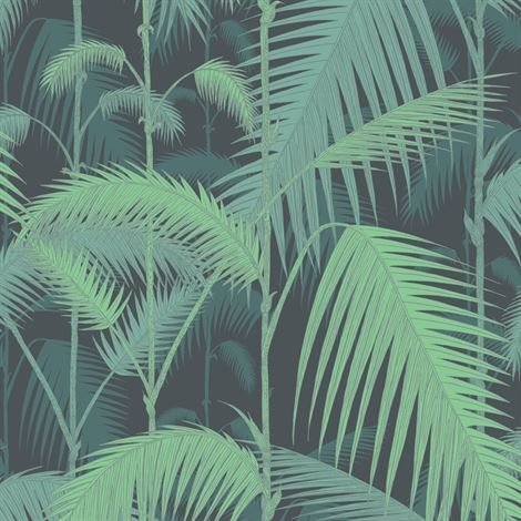 Cole & Son Palm Jungle Tapetti Musta