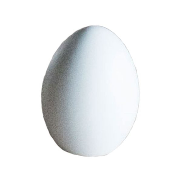 Dbkd Standing Egg Koriste Valkoinen