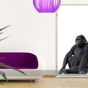 Ed Kuvatapetti Gorilla Thought 100x210 Cm