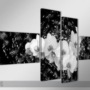 Ed Neliosainen Seinätaulu Orkidea VedessÄ 70x160 Cm