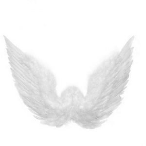 Excel Angel disguise koriste valkoinen