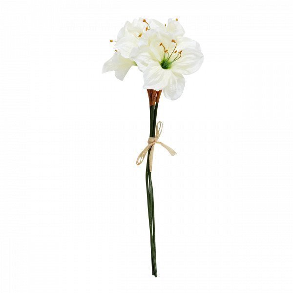 Hemtex Amaryllis Kermanvalkoinen 20x55 Cm