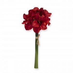 Hemtex Amaryllis Punainen 20x55 Cm