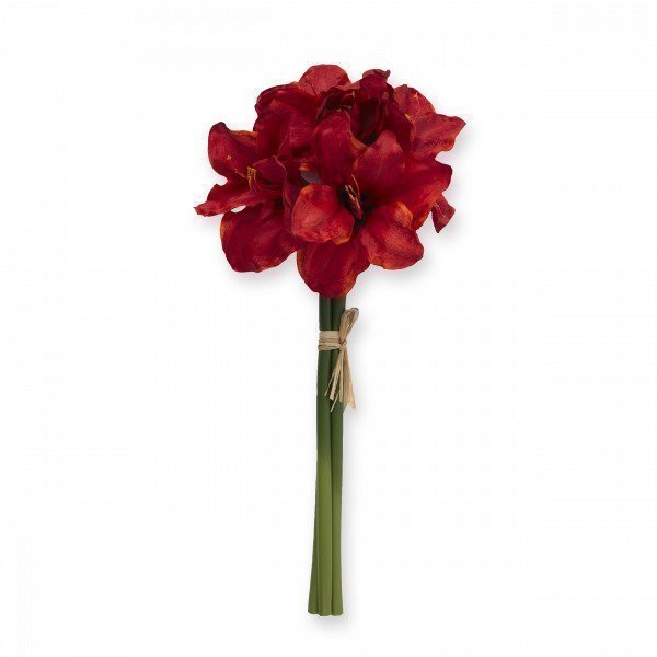 Hemtex Amaryllis Valkoinen 20x55 Cm