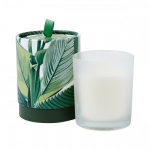 Hemtex Aruba Scented Candle In Round Box Tuoksukynttilä Basilika 8x8 Cm