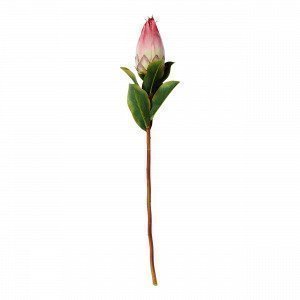 Hemtex Protea Bud Tekokukka Kirsikka 12x65 Cm