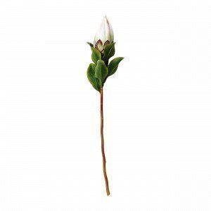 Hemtex Protea Bud Tekokukka Vaaleanroosa 12x65 Cm