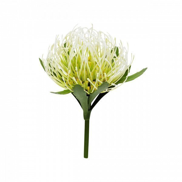 Hemtex Protea Flower Muovikukka Kermanvalkoinen