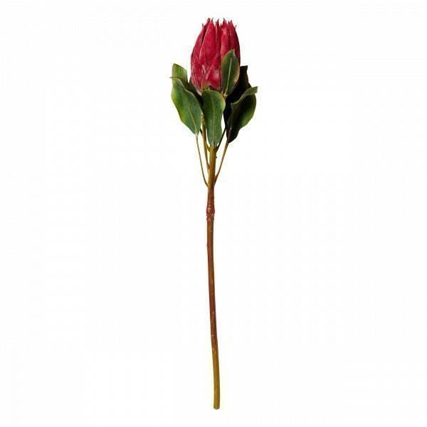 Hemtex Protea Textile Flower Tekokukka Tummanpunainen 13x72 Cm