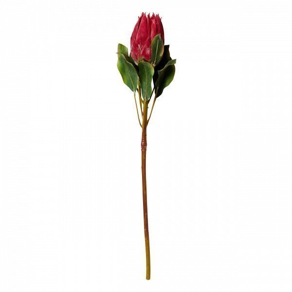 Hemtex Protea Textile Flower Tekokukka Tummanpunainen 13x72 Cm