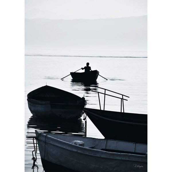 House Of Beatniks Rower On The Lake I Juliste 50x70 Cm