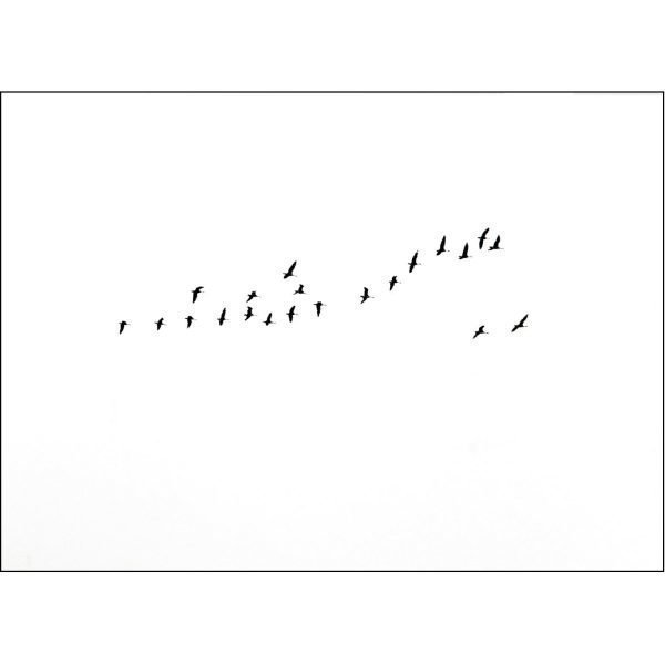 Jollygoodfellow Birds Migration Juliste