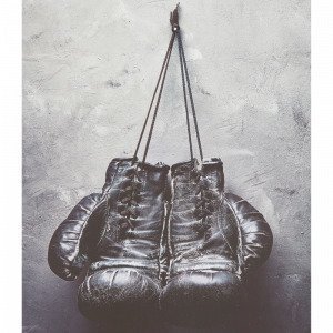 Jotex Boxing Gloves Juliste Valkoinen 50x70 Cm