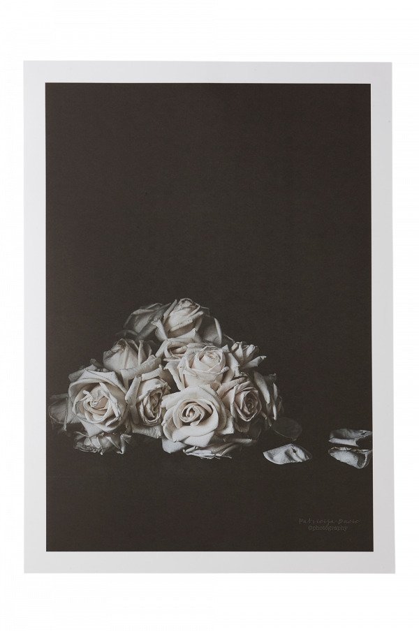 Jotex Faded Roses Juliste Roosa 50x70 Cm