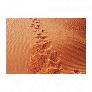 Jotex Foot Prints Juliste Ruskea 70x50 Cm