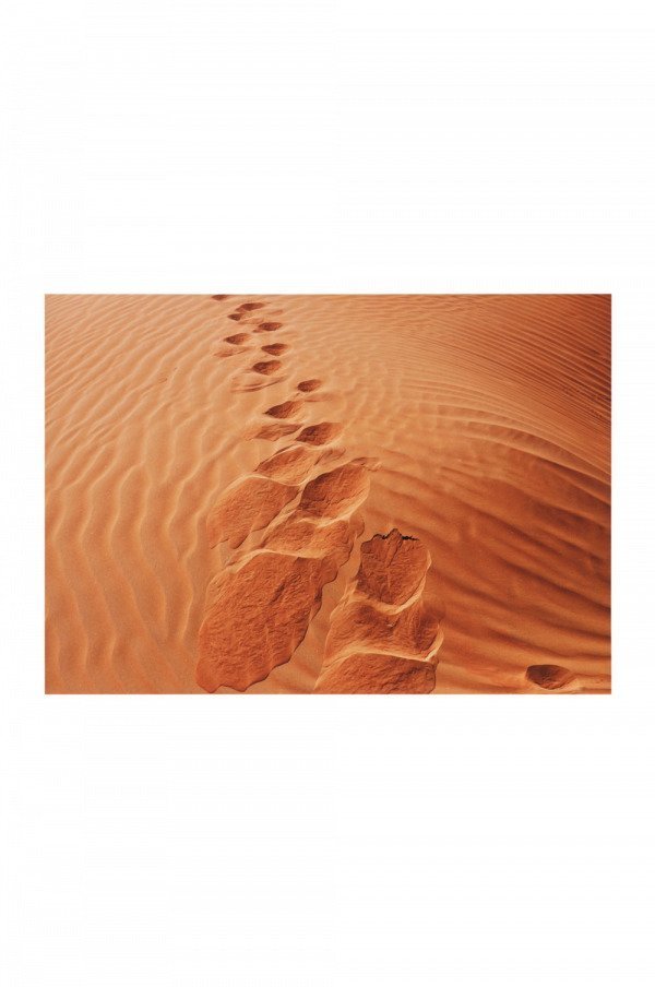 Jotex Foot Prints Juliste Ruskea 70x50 Cm