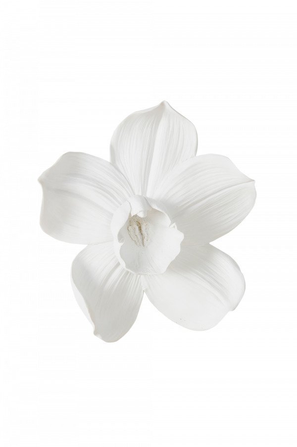 Jotex Orchid Seinäkoriste Keskikokoinen Valkoinen