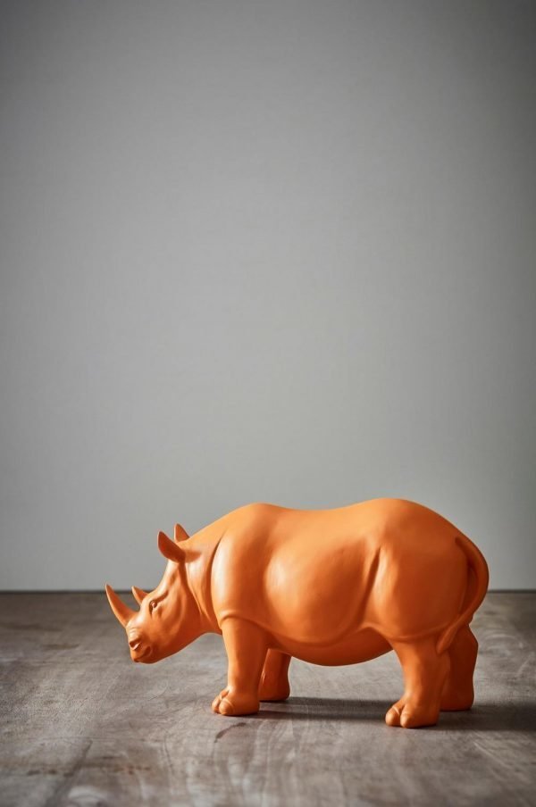 Jotex Rhino Koriste Oranssi