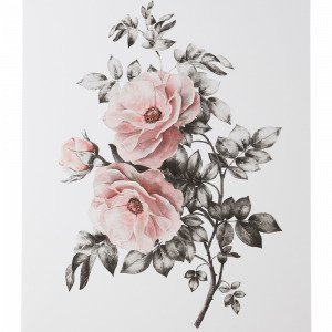 Jotex Spring Flower Juliste Roosa 50x70 Cm