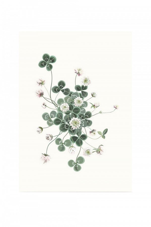 Kortkartellet Lucky Clover Juliste Vihreä 50x70 Cm