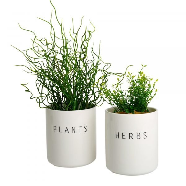 Koti Plants Ja Herbs Isot Purkit 2 Kpl
