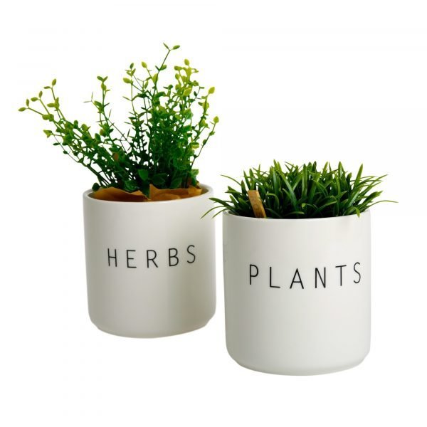 Koti Plants Ja Herbs Pienet Purkit 2 Kpl