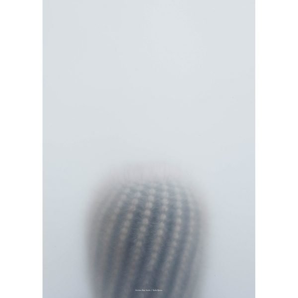 Kristina Dam Ball Cactus I Juliste 50x70 Cm