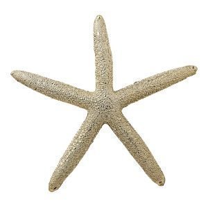 Lene Bjerre Serafina Starfish Kulta 14 Cm