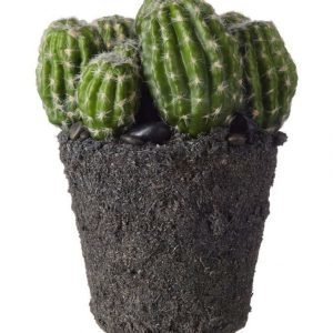 Lene Bjerre Sisustuskasvi Kaktus 22 cm