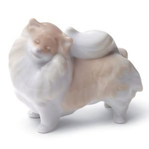 Lladro Pomeranian