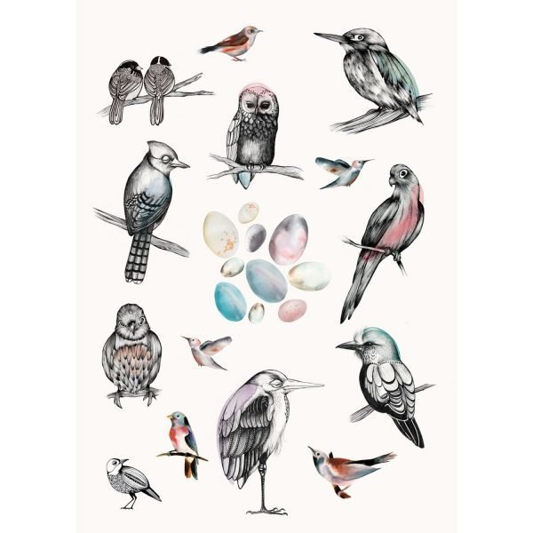 Mini Empire Birds Juliste