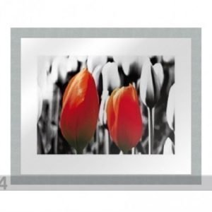 Og Taulu Modern - Two Red Tulips1 20x25 Cm