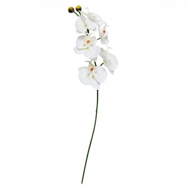 Orkide Muovikukka Valkoinen