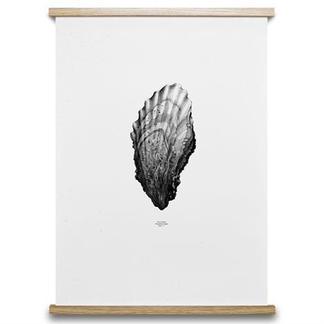 Paper Collective 1:1 Oyster Juliste 50x70 cm