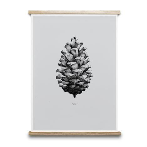 Paper Collective 1:1 Pine Cone Juliste Harmaa 50x70 cm