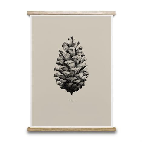 Paper Collective 1:1 Pine Cone Juliste Hiekka 50x70 cm