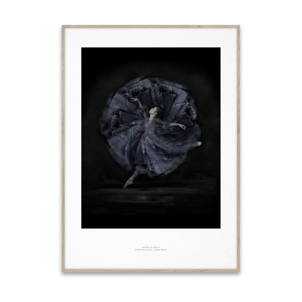 Paper Collective Essence Of Ballet 06 Juliste