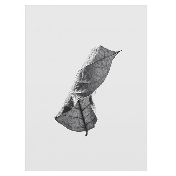 Paper Collective Floating Leaves 01 Juliste A3